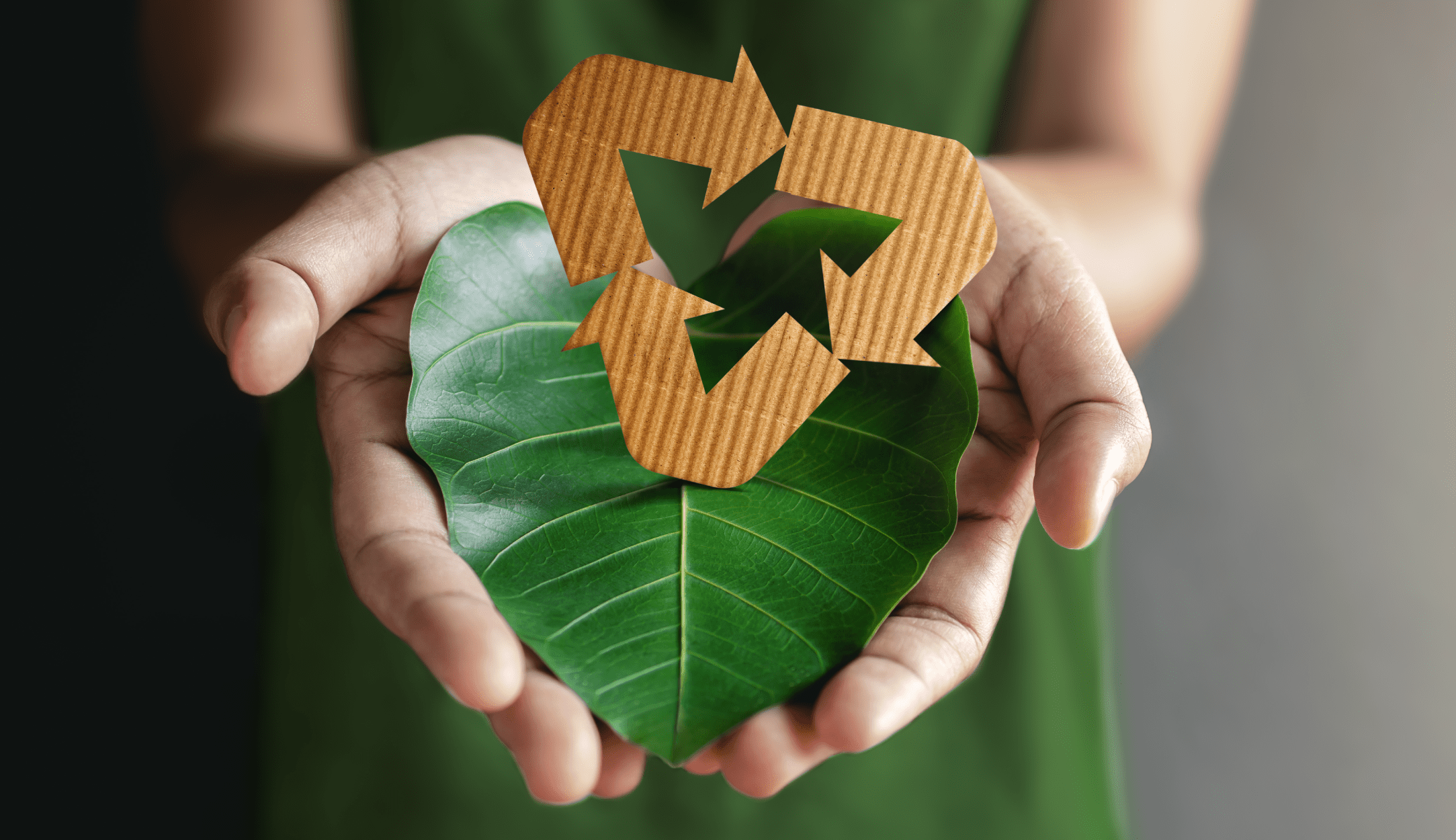 Folha verde com símbolo de reciclagem sustentável nas mãos.